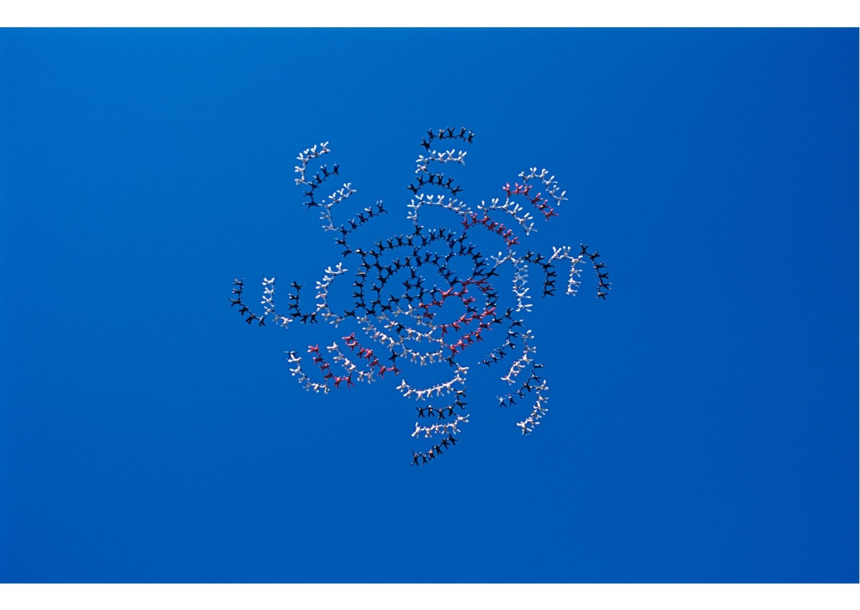 Suddenly without leadership!